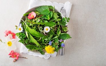 Spring,Table,Background,With,Flowers,,Herbs,And,Plants.,Wild,Garlic,