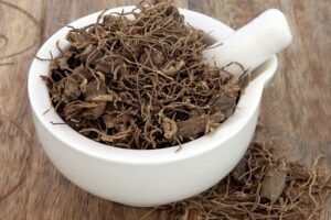 Black,Cohosh,Root,Herb,Used,In,Natural,Alternative,Herbal,Medicine