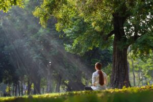 Back,Of,Woman,Relaxingly,Practicing,Meditation,Yoga,In,The,Forest